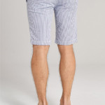 Men Blue & White Striped Slim Fit Cotton Shorts